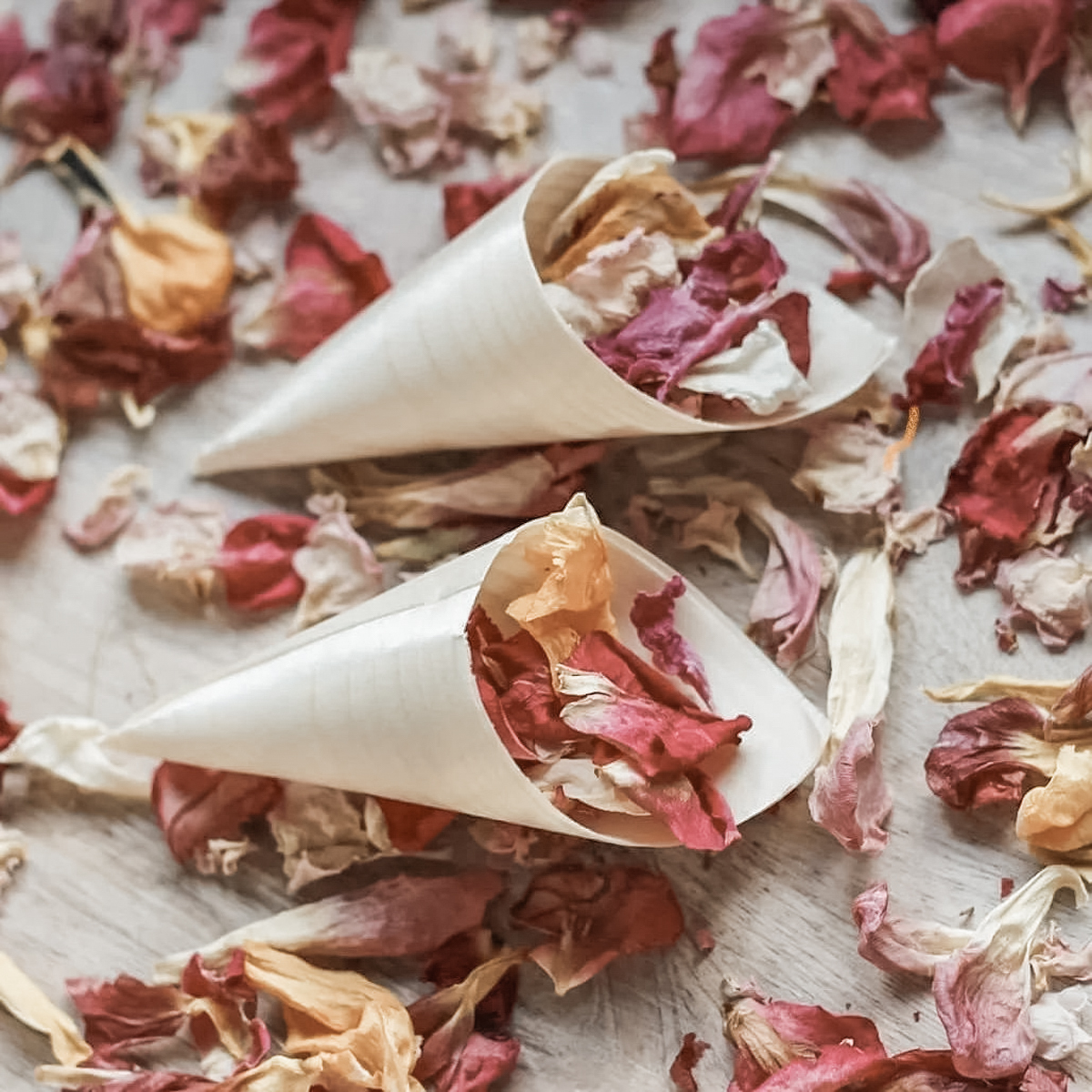 274568723_147384647697317_7095470191421669797_n