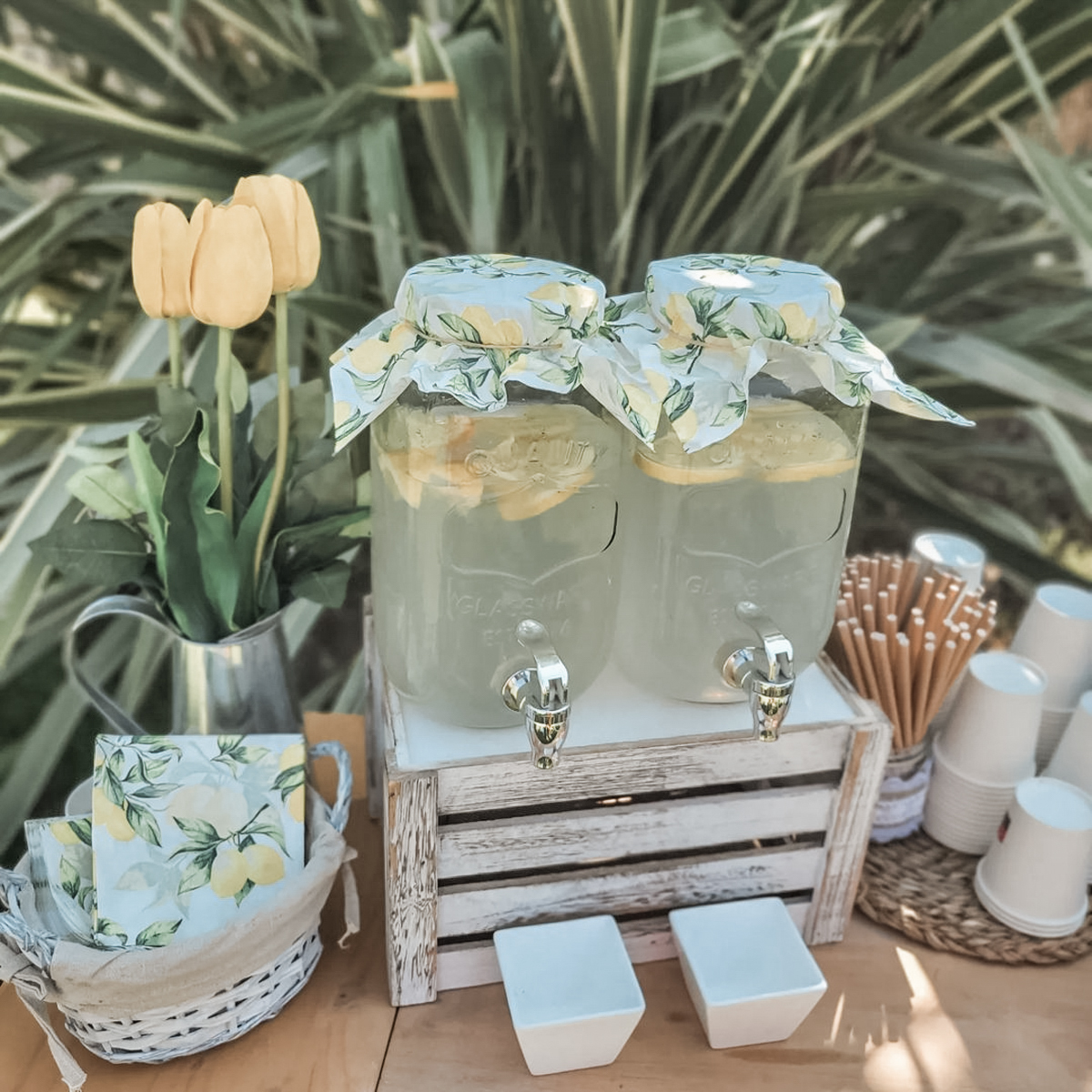 299000820_1039469900103815_2808353715034267806_n