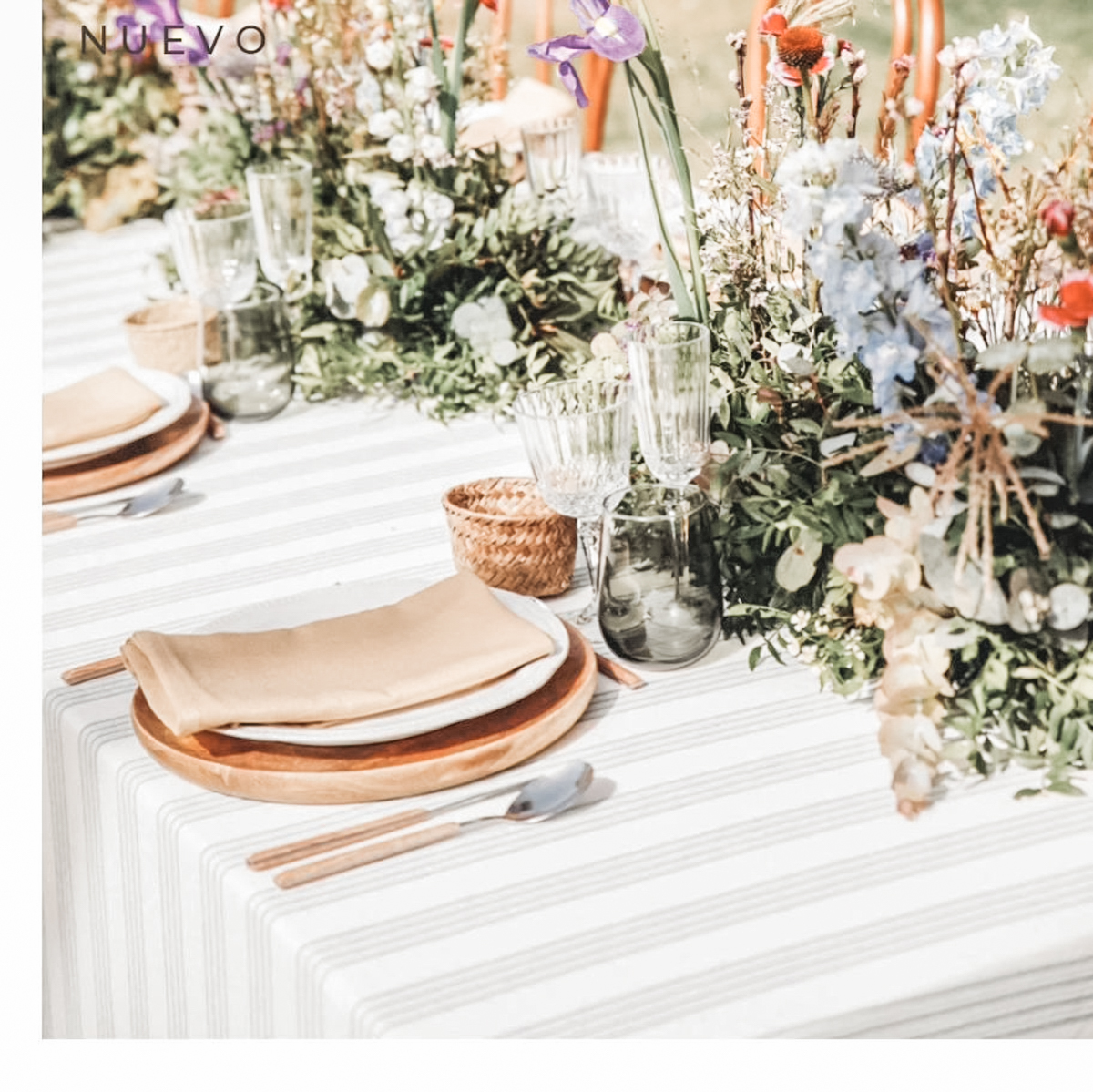 355566347_166215703106118_7795614857776990244_n